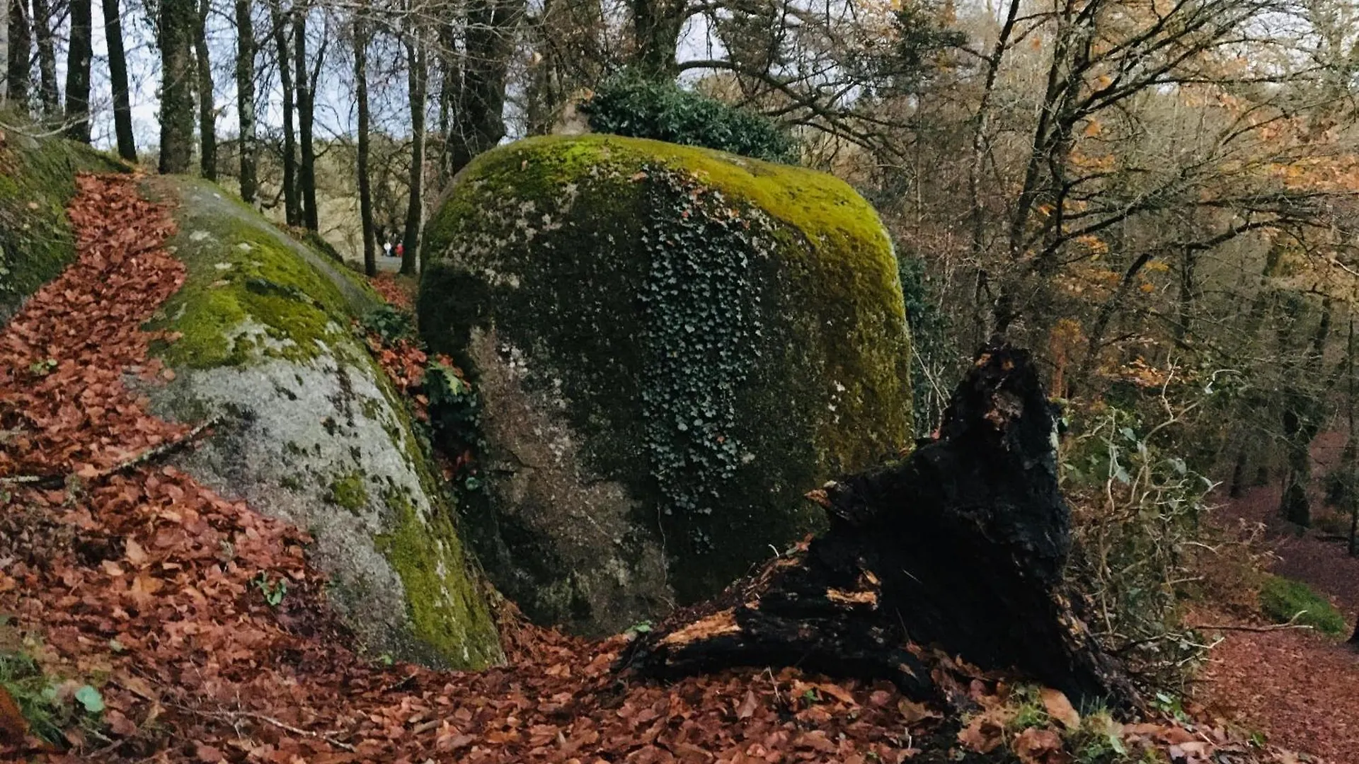 Сasa de vacaciones La Maison De Soaz Classee 3 Etoiles Châteauneuf-du-Faou Francia